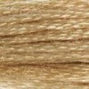 DMC - Satin Floss - S0738 - Golden Fawn