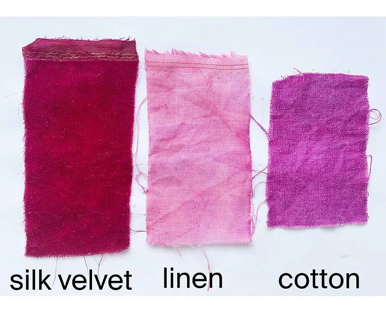 Cochineal Dye Kit