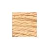 DMC - Floss - 3856 - Ultra Very Light Mahogany