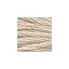 DMC - Floss - 0543 - Ultra Very Light Beige Brown