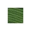DMC - Floss - 0904 - Very Dark Parrot Green