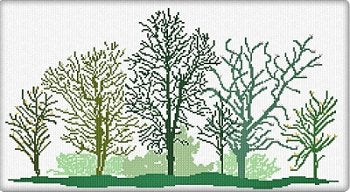 AAN - Foresta di Primavera