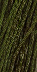 GNTL - Sampler Threads - 0190 - Forest Glade