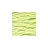 DMC - Floss - 0014 - Pale Apple Green