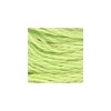 DMC - Floss - 0015 - Apple Green