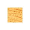 DMC - Floss - 0019 - Medium Light Autumn Gold