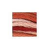 DMC - Floss - 0069 - Terra Cotta Variegated