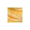 DMC - Floss - 0090 - Yellow Variegated