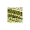 DMC - Floss - 0094 - Khaki Green Variegated