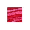 DMC - Floss - 0107 - Carnation Red Variegated