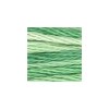 DMC - Floss - 0125 - Seafoam Green Variegated