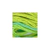 DMC - Floss - Color Variations - 4050 - Roaming Pastures