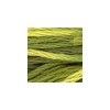DMC - Floss - Color Variations - 4066 - Amazon Moss