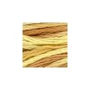 DMC - Floss - Color Variations - 4072 - Toasted Almond