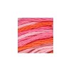 DMC - Floss - Color Variations - 4190 - Ocean Coral