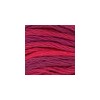 DMC - Floss - Color Variations - 4210 - Radiant Ruby