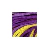 DMC - Floss - Color Variations - 4265 - Purple Pansy