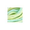 DMC - Floss - Color Variations - 4060 - Weeping Willow