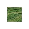 DMC - Floss - Color Variations - 4045 - Evergreen Forest