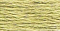 DMC - Perle #03 - 3013 - Green Oyster