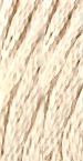 GNTL - Sampler Threads - 1192 - Ragdoll