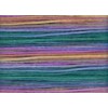 RBGL - Bravo - A-0102 - Irises