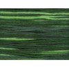 RBGL - Bravo - A-0133 - Shamrocks