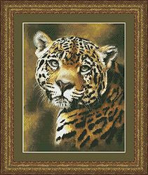 KSKR - 97143 - Jaguar Portrait
