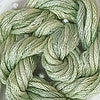 CRCL - Waterlilies - 293 - Lettuce