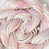 CRCL - Waterlilies - 317 - Petal