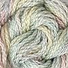 CRCL - Wildflowers - 337 - Saltwater Taffy