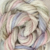 CRCL - Waterlilies - 013 - Peach Sherbert