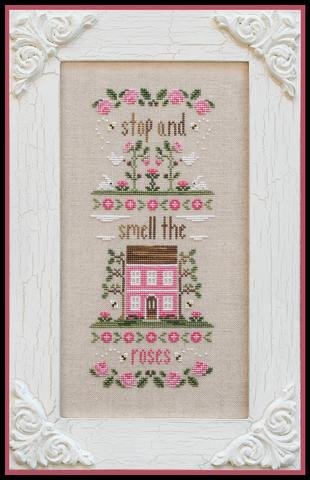 CCN - #108 - Stop and Smell the Roses