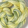 CRCL - Waterlilies - 027 - Lemon n Lime