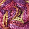 CRCL - Wildflowers - 021 - Peach Melba