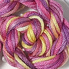 CRCL - Waterlilies - 021 - Peach Melba