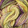 CRCL - Watercolors - 049 - Yellow Fever