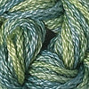 CRCL - Wildflowers - 067 - Celadon