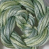 CRCL - Waterlilies - 067 - Celadon