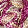 CRCL - Wildflowers - 071 - Ambrosia