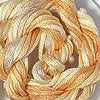 CRCL - Waterlilies - 166 - Creamsicle