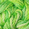 CRCL - Watercolors - 188 - Lime Rickey
