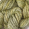 CRCL - Wildflowers - 215 - Cilantro