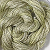 CRCL - Waterlilies - 215 - Cilantro
