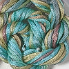 CRCL - Waterlilies - 227 - Desert Shadow