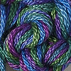 CRCL - Wildflowers - 236 - Appalachia