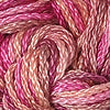 CRCL - Wildflowers - 248 - Primrose