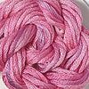 CRCL - Waterlilies - 269 - Bubblegum