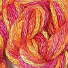 CRCL - Watercolors - 276 - Tequila Sunrise