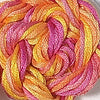 CRCL - Waterlilies - 276 - Tequila Sunrise